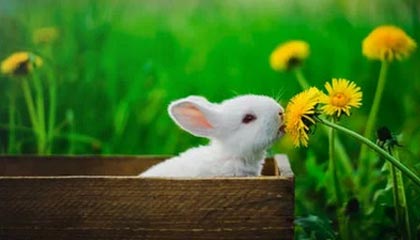 熊猫体育-球员训练负荷与比赛安排失衡，球员训练负荷与比赛安排失衡的原因