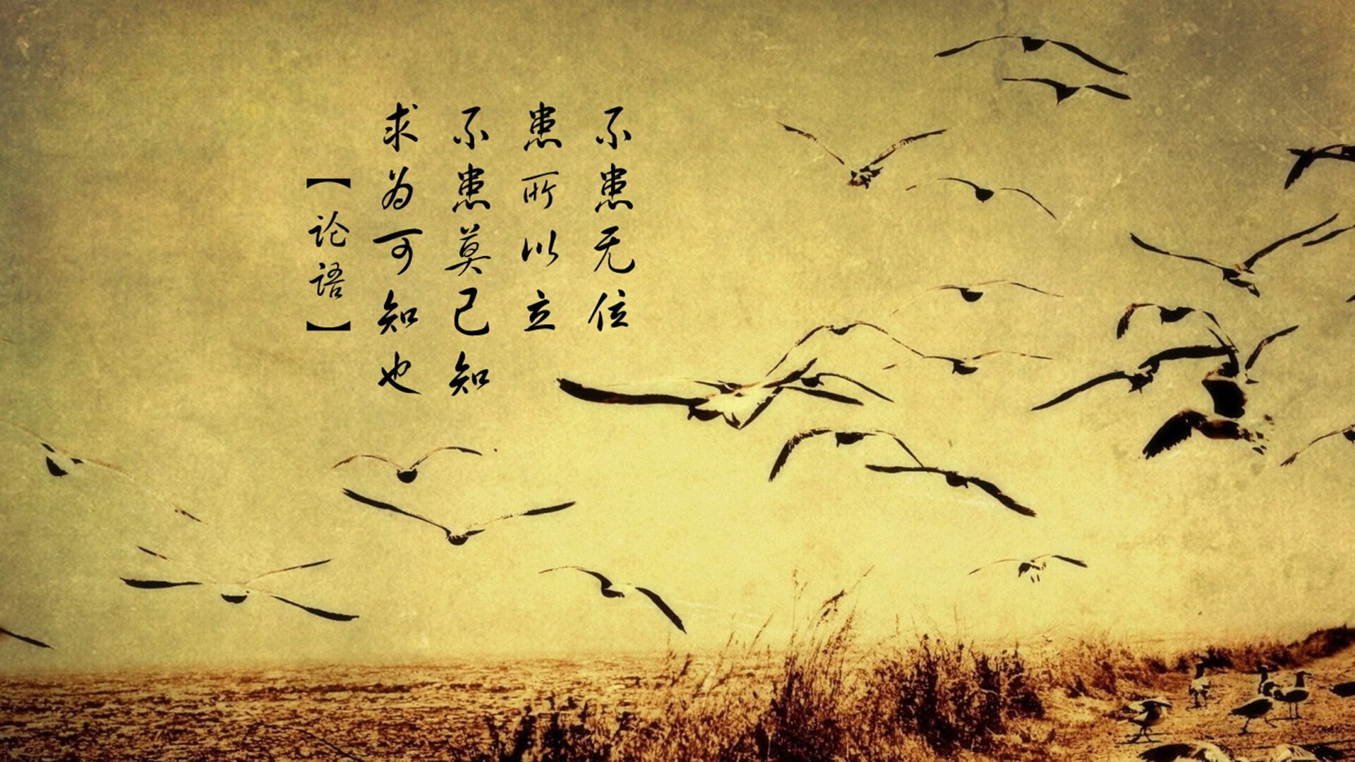 _跨界运动融合：瑜伽与跑步的创新结合_，跑步和瑜伽怎么搭配