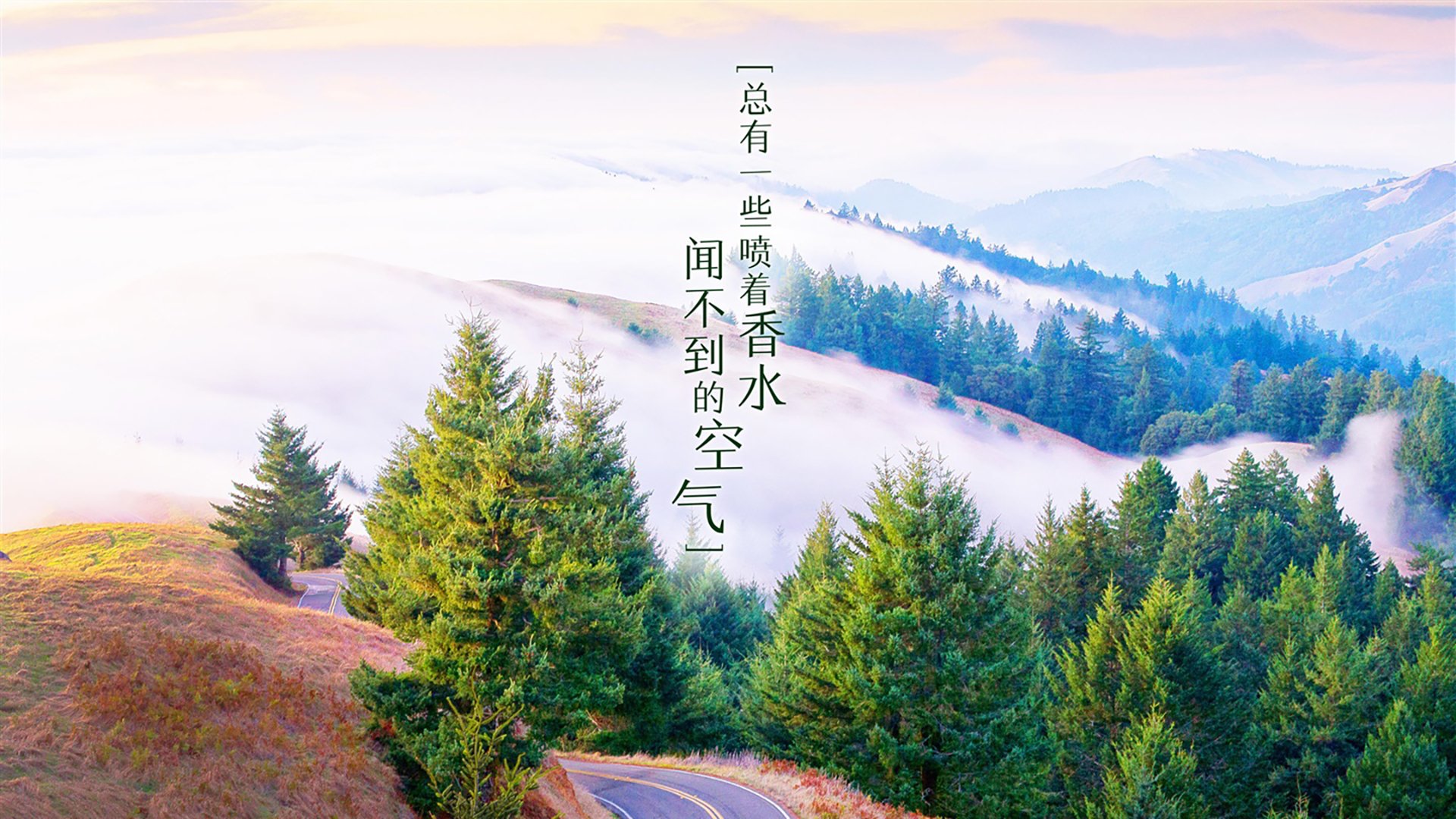 亚洲篮球联赛观众热情持续高涨，亚洲篮球比赛叫什么
