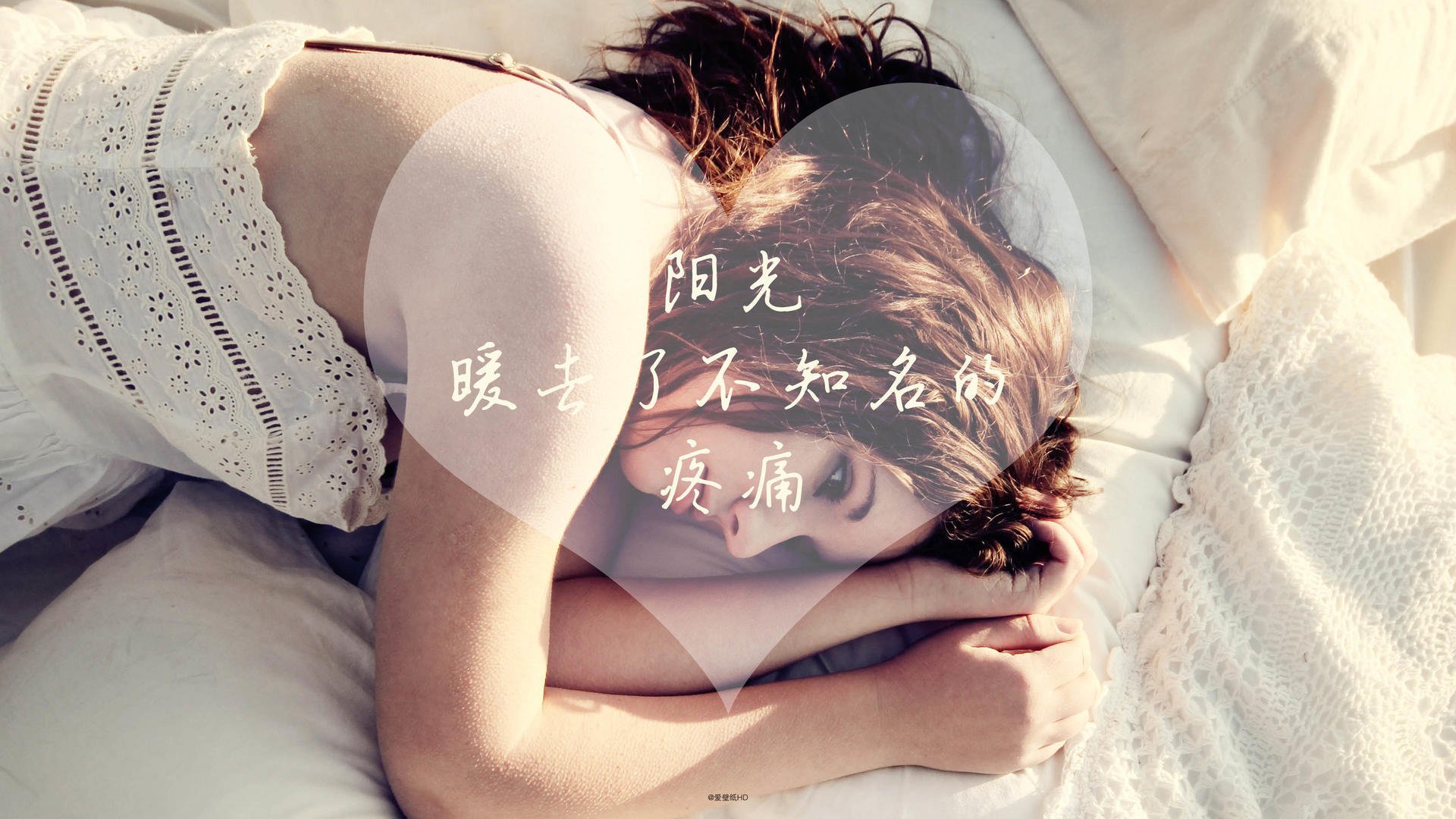 公牛球队球队精神面貌焕然一新，公牛球队logo