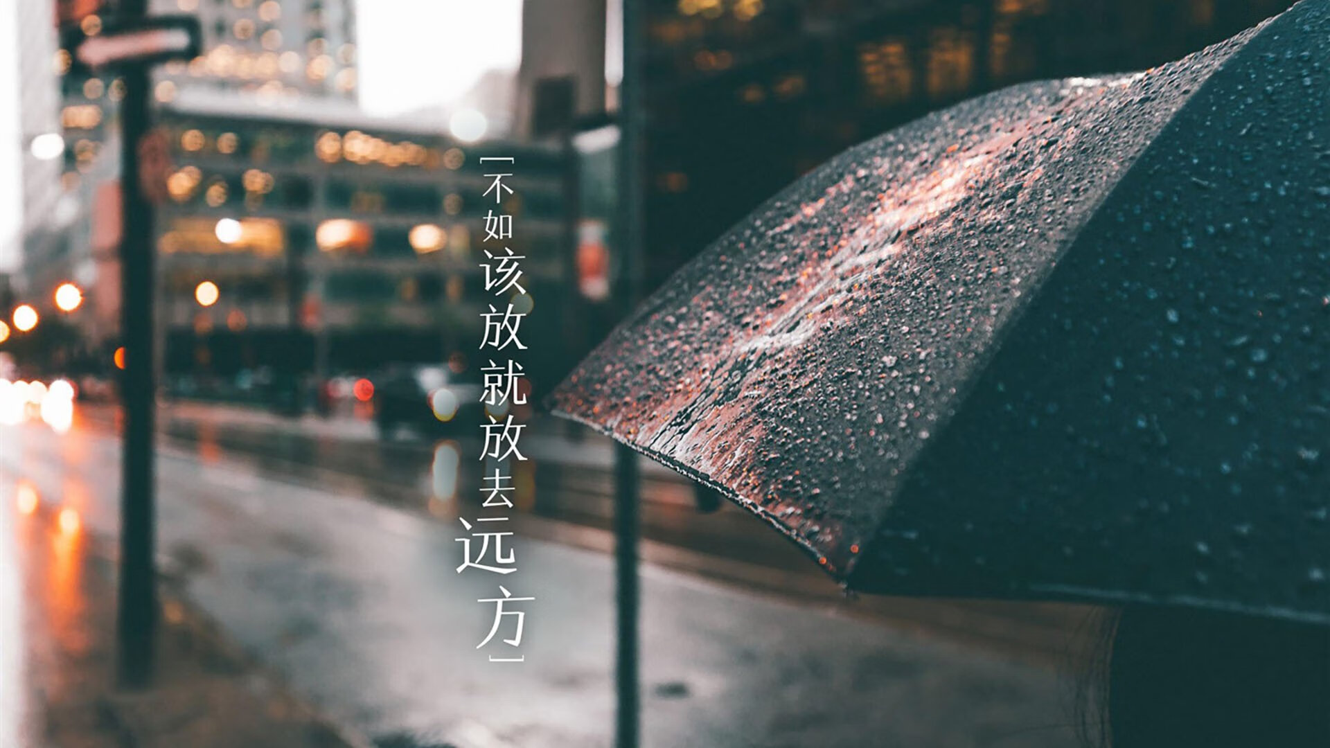 国足教练团队战术布置精细，国足教练阵容