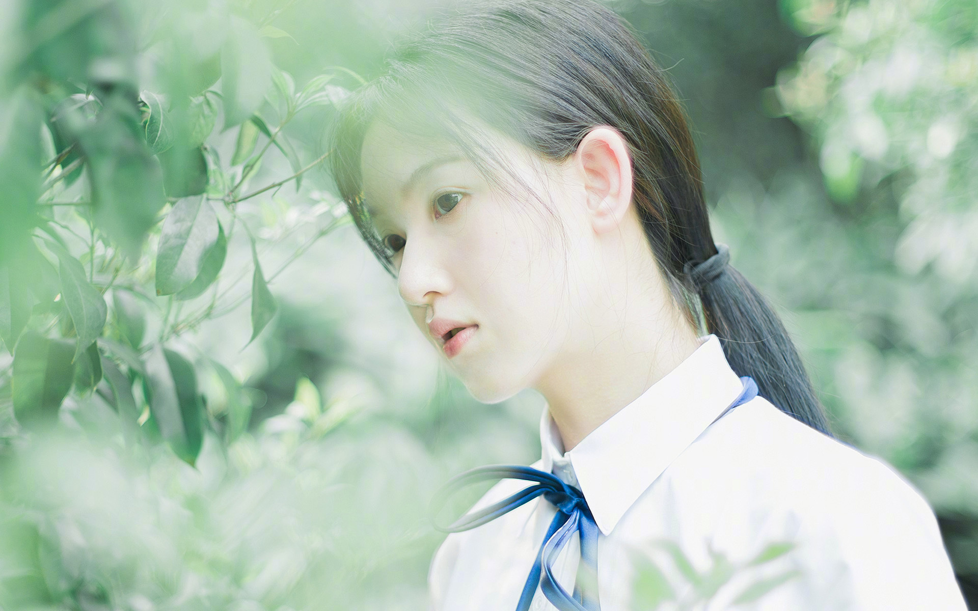 熊猫体育在线-城市级青少年篮球联赛积分排名机制正式实行，青少年篮球梯队