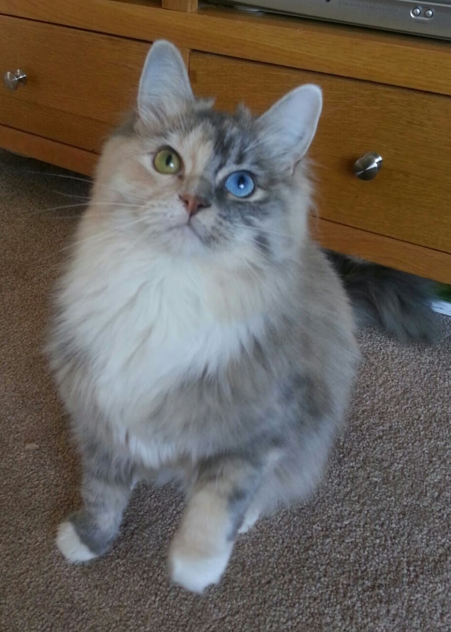 德甲攻防鏖战:攻不破的后防线瞬间崩溃,德甲打法特点