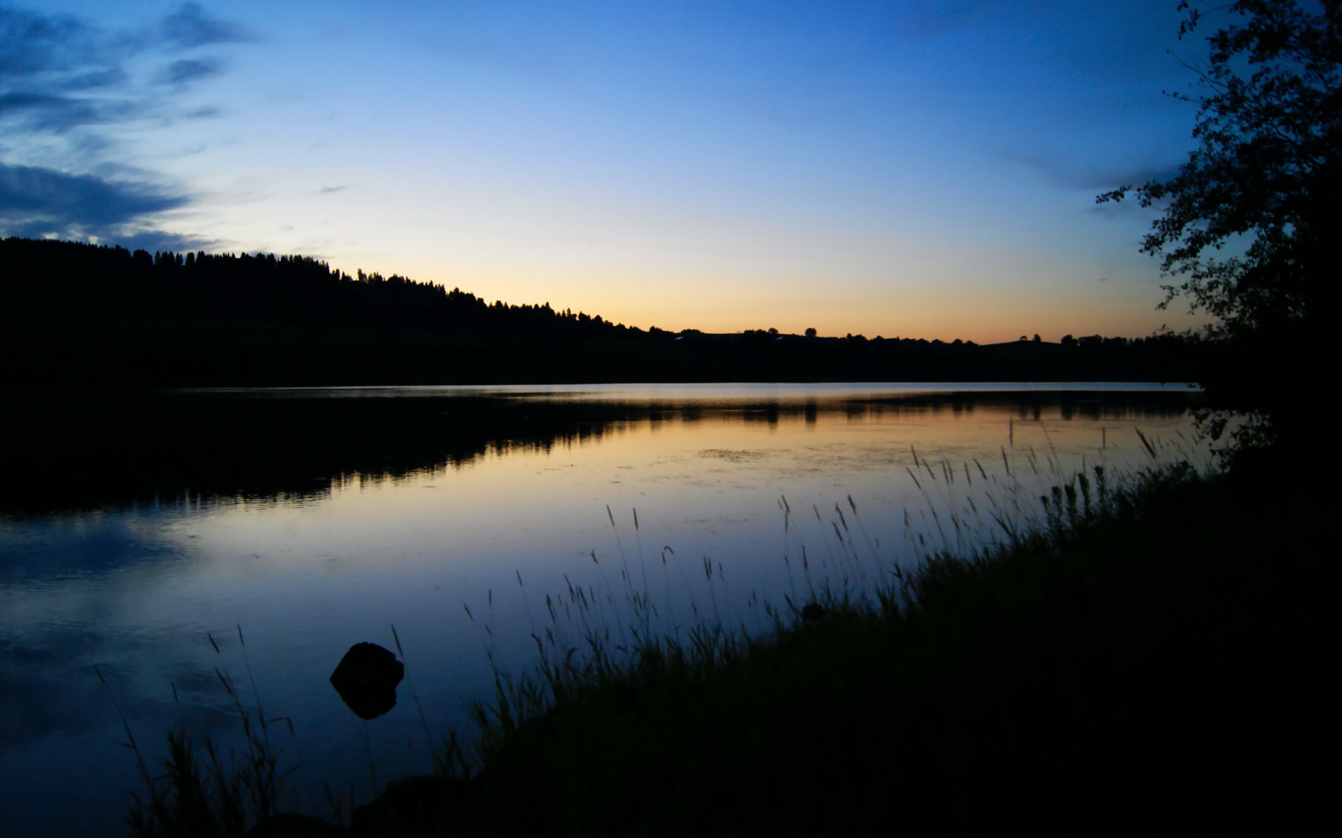 苏炳添开讲座分享运动员时间管理,苏炳添日常训练计划表