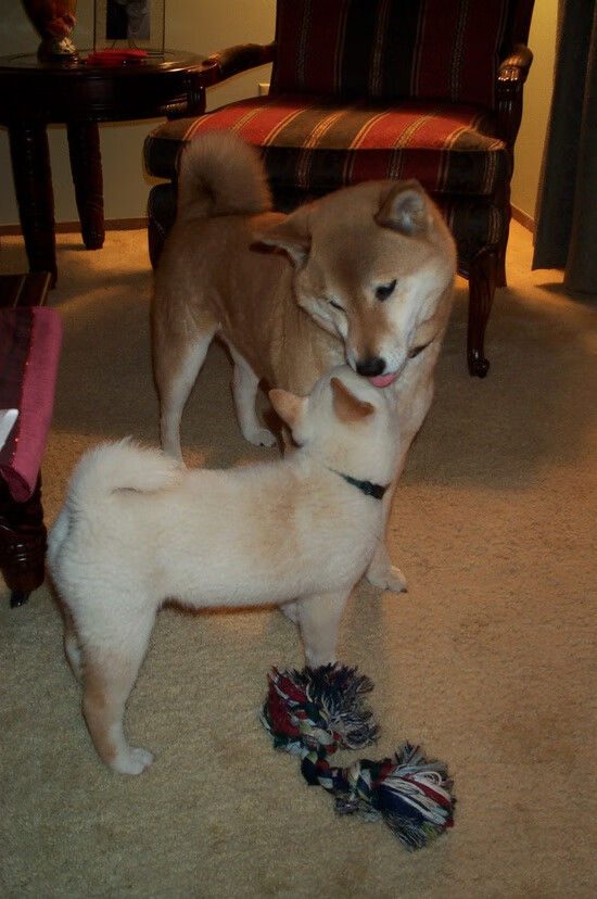 英超决战在即：悬念重重，精彩绝伦！，英超决赛一般在几月