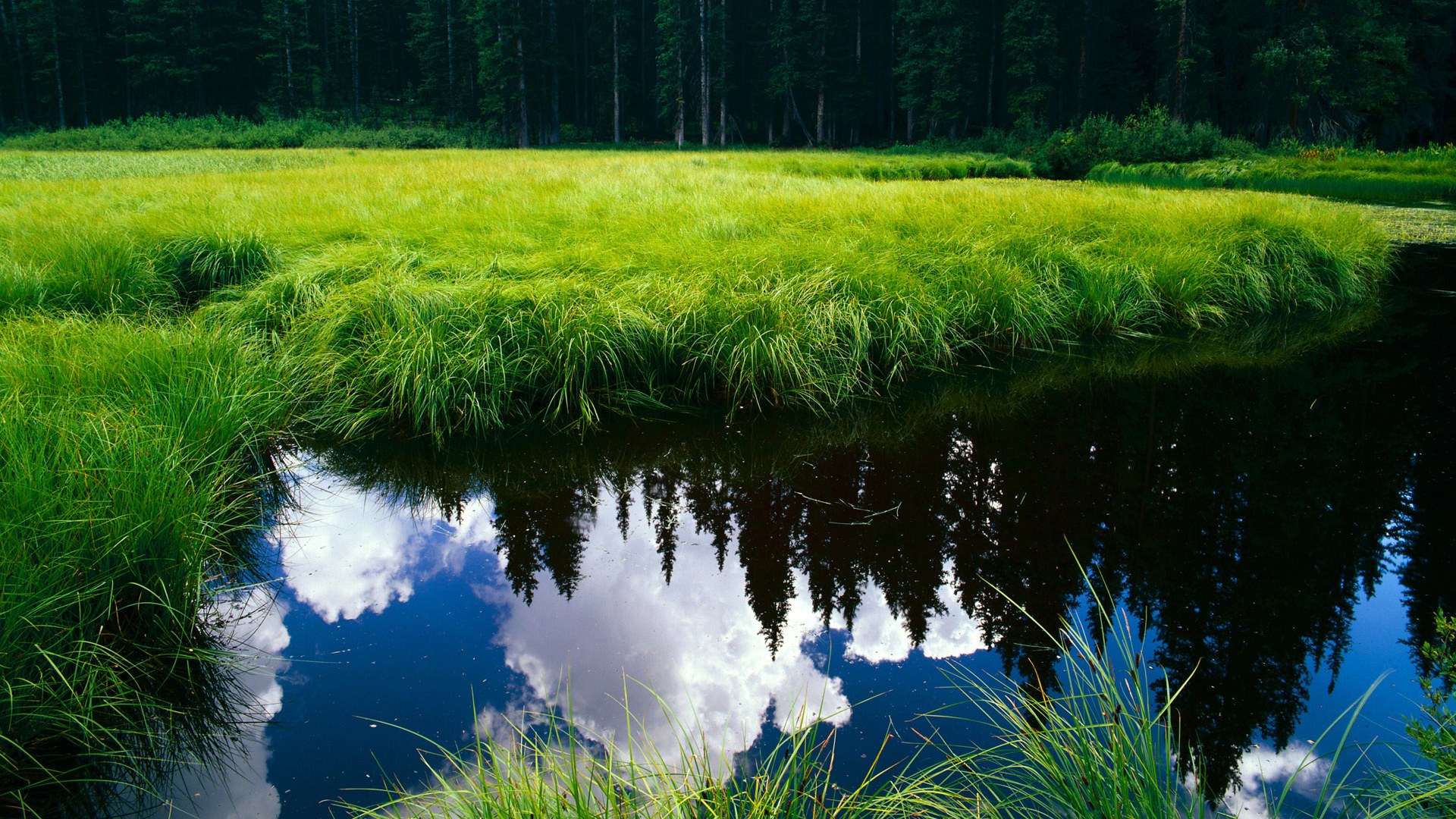 熊猫体育官方网站-覃海洋目标清晰 全力冲刺，覃海洋个人简历